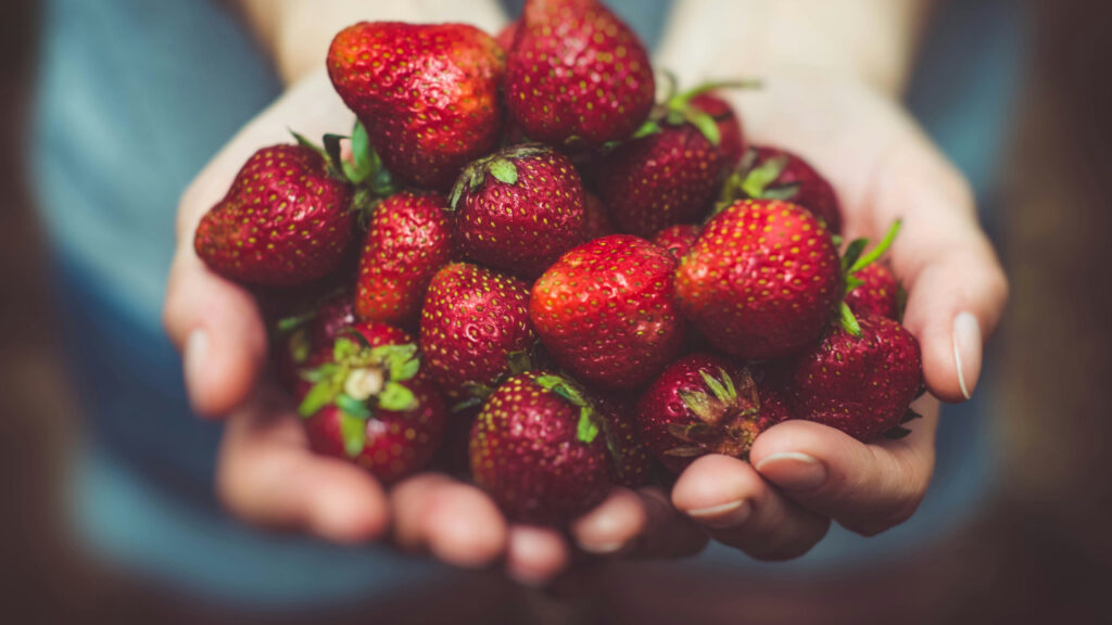 shallow-focus-photography-of-strawberries-on-persons-palm-GdTLaWamFHw